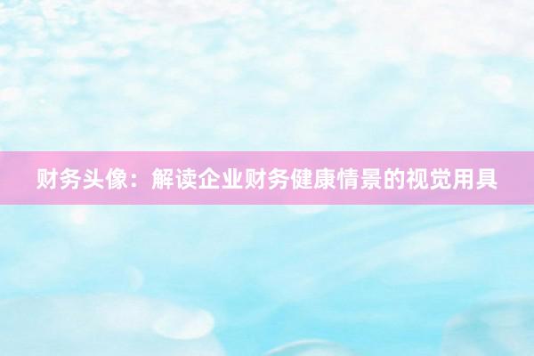 财务头像：解读企业财务健康情景的视觉用具