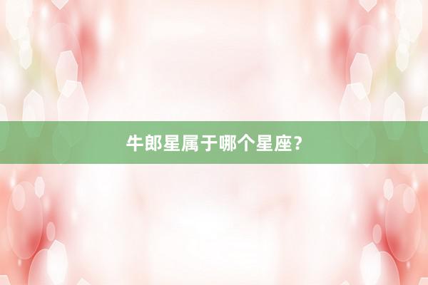 牛郎星属于哪个星座？